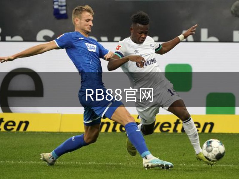 了解RB88官网